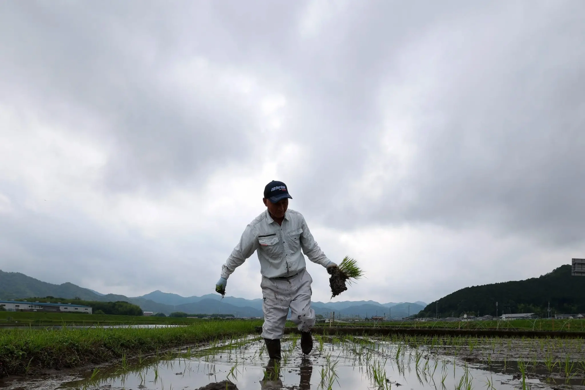 Seca, turismo e disputa comercial: como o Japão foi da falta ao excesso de arroz
