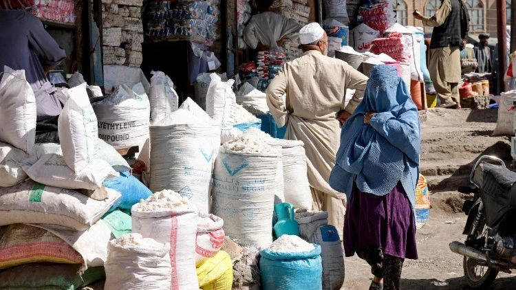 Afeganistão: 20 milhões de pessoas sem segurança alimentar