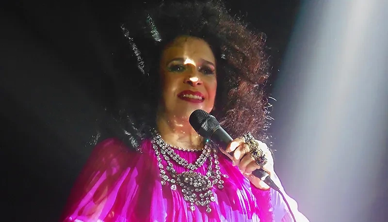 Luminosidade do cristal de Gal Costa reluz no dia em que artista faria 81 anos porque 'coisas sagradas permanecem'
